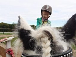 55770760712857162200229905514537358720603243n